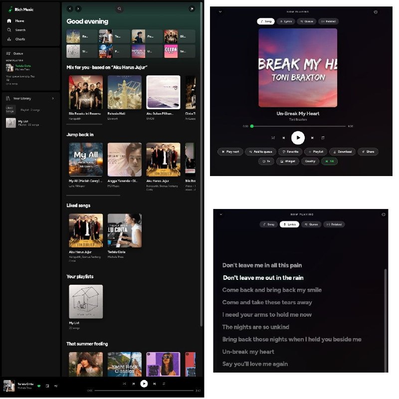 Cara Pakai Rich Music Gratis Tanpa Iklan dan Login