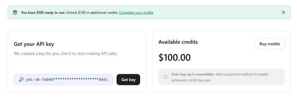 Cara Klaim Kredit Gratis 100 Dolar dari API Search You.com