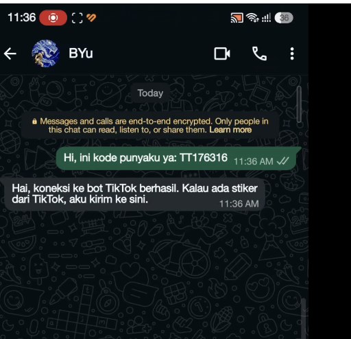 Bot WhatsApp membalas koneksi ke bot TikTok berhasil